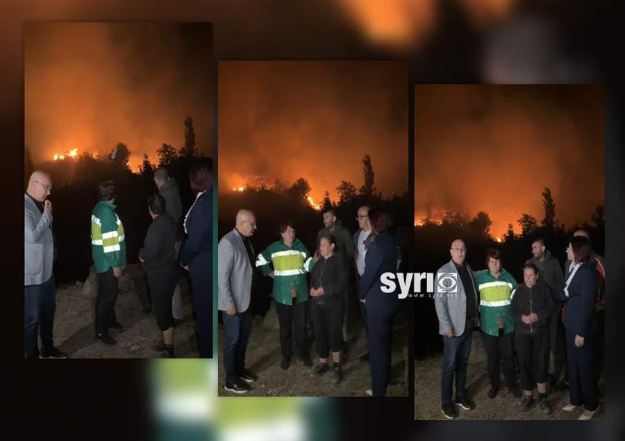 Zjarr masiv në Galush të Peqinit  Himçi  Rrezikohen shtëpitë dhe bagëtitë  kërkohet urgjentisht ndërhyrje