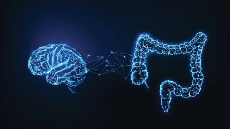 Shkencëtarët zbulojnë molekulën në zorrë që mund të rrisë rrezikun e Alzheimerit