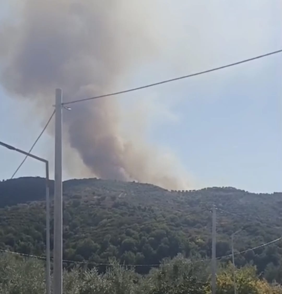 ​Zjarri në Greshicë, humb jetën 76-vjeçari që po përpiqej të shuante flakët