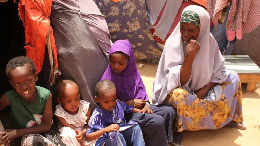 Mbi 20 mijë migrantë hynë në Xhibuti nga Etiopia që prej 10 shtatorit