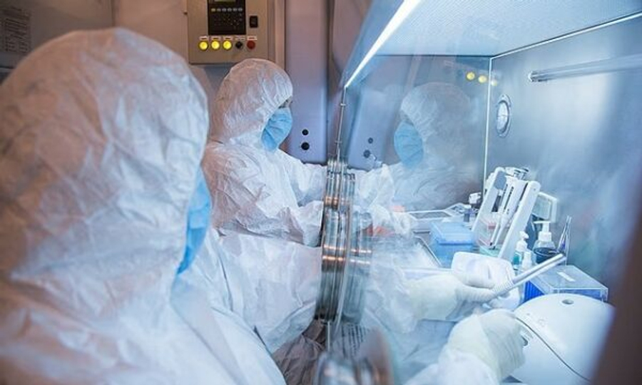 Murtaja pneumonike ngre alarmin në Rusi  Si përhapet  cilat janë shenjat e para dhe si trajtohet