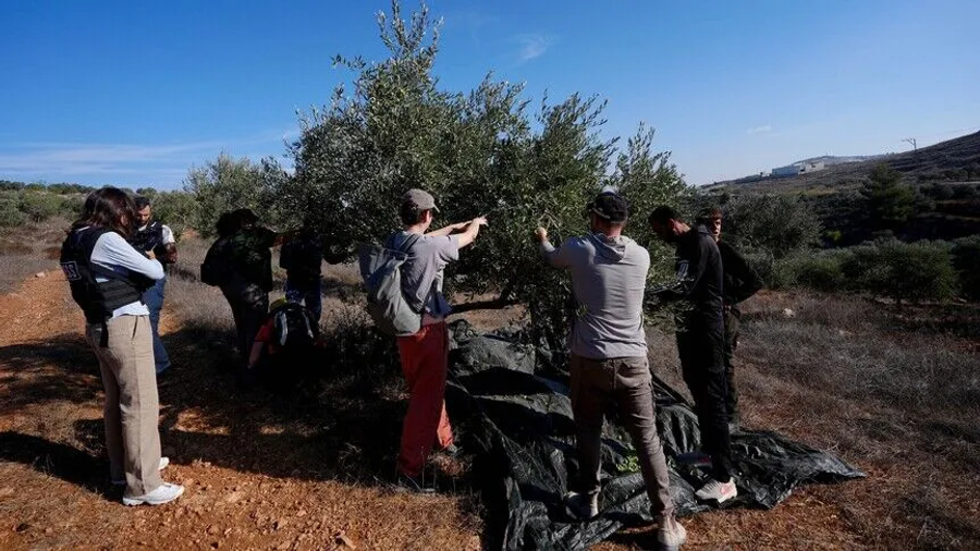 sulmohen-fermeret-palestineze-ne-bregun-perendimor-4-te-plagosur