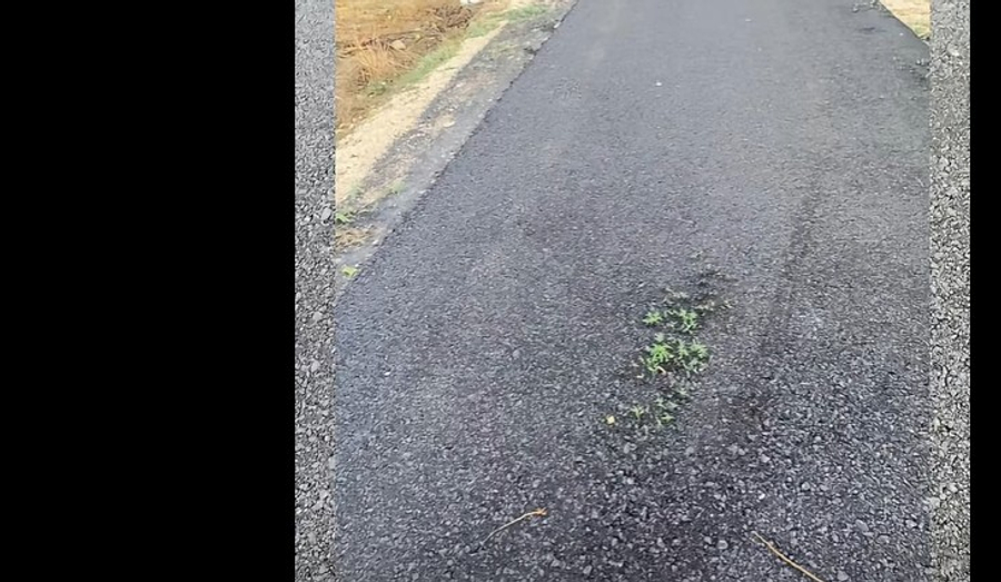 Patos  Rrugë me standarde apo vjedhje me thas  Pas 3 ditësh mbin bari në asfalt