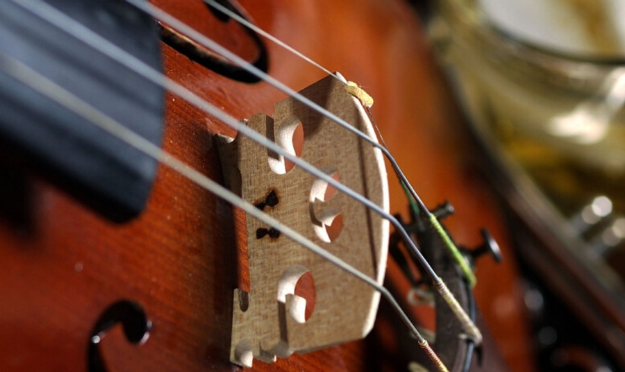 EMRI  Kush është violinisti që u dënua pasi u kap me 38 kg kokainë  Paratë janë të babait tim