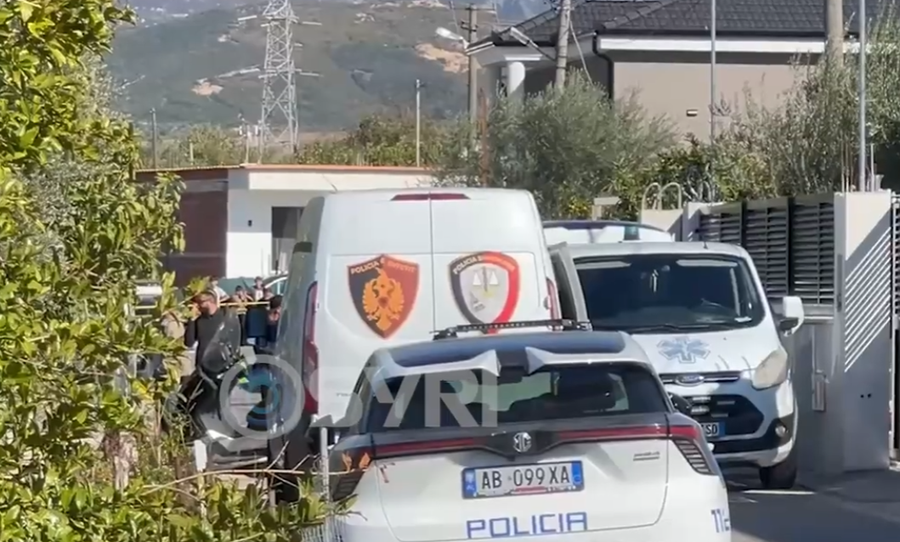 Vrasja e 2 vëllezërve në Kamëz  policia  I plagosur rëndë edhe vëllai i tretë  autori polic ushtarak