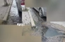 VIDEO/ Le të flasim për dhunën