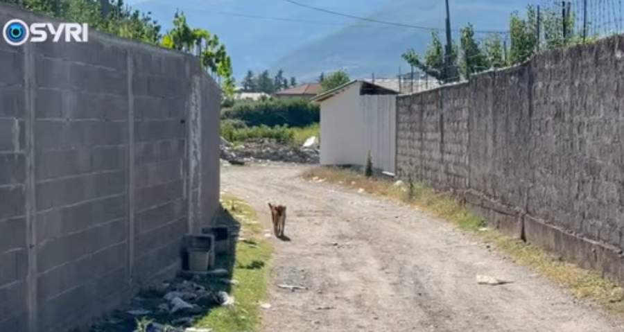 syri-tv-banoret-e-ish-stacionit-te-trenit-ne-elbasan-nuk-kemi-infrastrukture-problem-mbetet-edhe-ndricimi