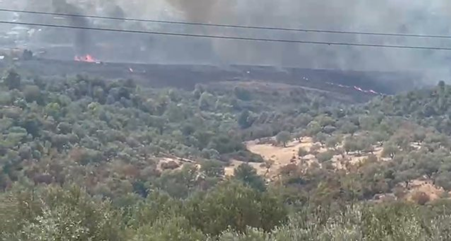 Zjarr i përmasave të mëdha në Krastë të Krujës  flakët i afrohen banesave