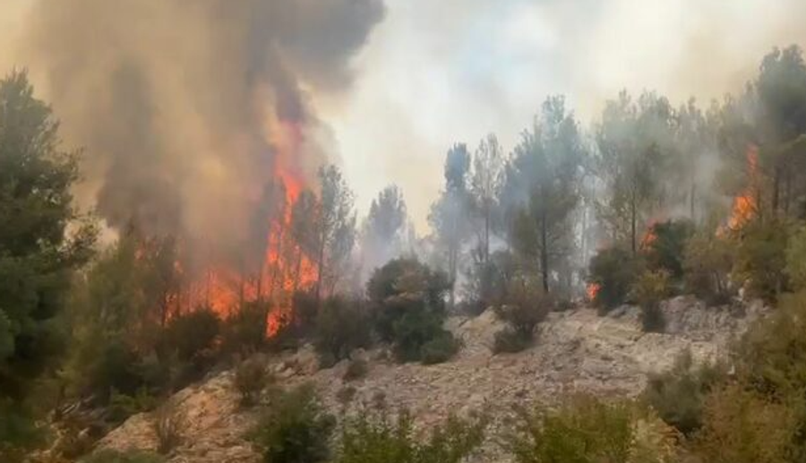 Mali i Tërbunit 5 ditë në flakë  Sipërfaqe e madhe e djegur  mungon ndërhyrja nga ajri