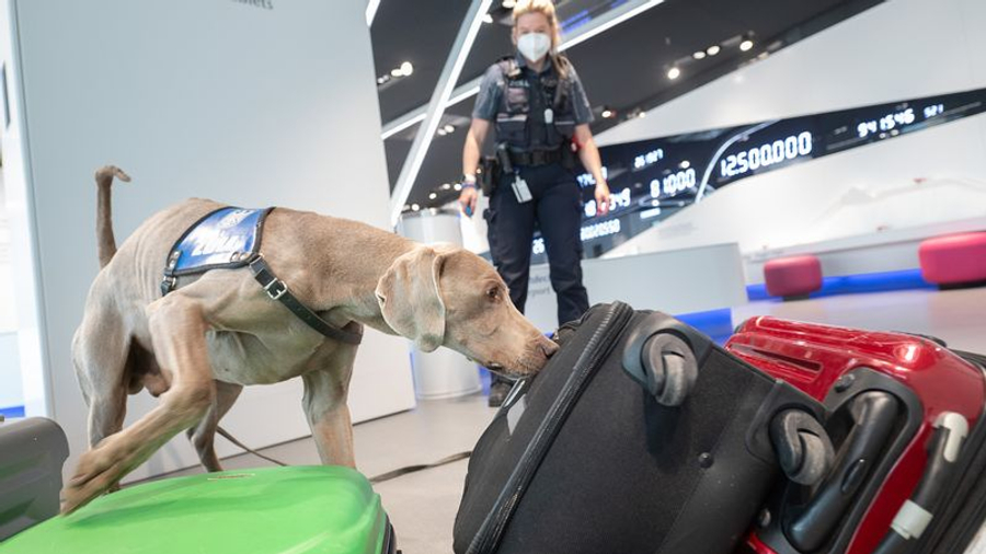 katerfishohet-ne-tre-vjet-numri-i-britanikeve-te-arrestuar-jashte-vendit-per-kontrabande-droge