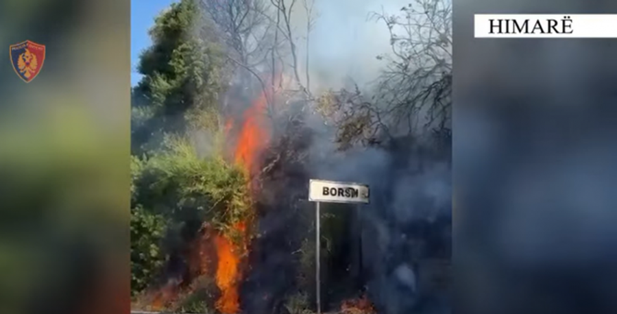 video-ndezi-disa-vatra-zjarri-ne-borsh-arrestohet-ne-flagrance-52-vjecari