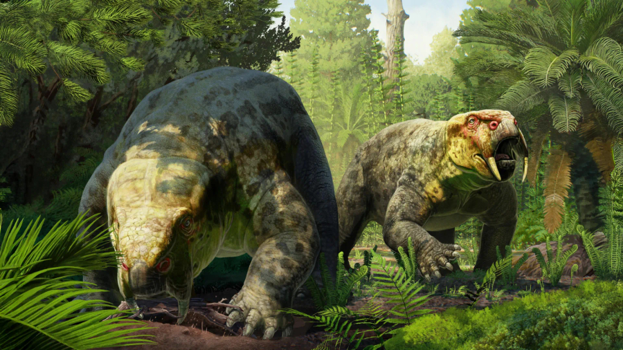 Zbulimi që ndryshon kronologjinë e dinosaurëve  Fosili 240 milionë vjeçar nga Tanzania