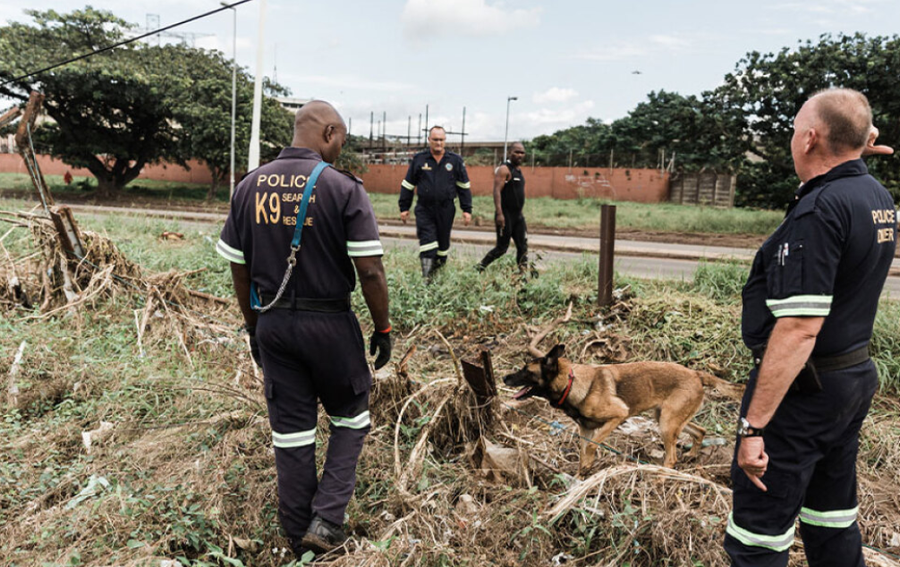 nente-gra-te-vdekura-ne-dy-muaj-frike-per-nje-vrases-serial-ne-afriken-e-jugut
