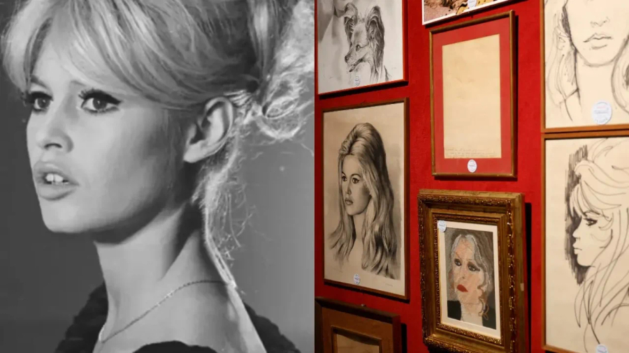 dalin-ne-ankand-sendet-personale-te-brigitte-bardot-shperthen-bashkeshorti-i-saj-po-e-zhveshin-skandaloze