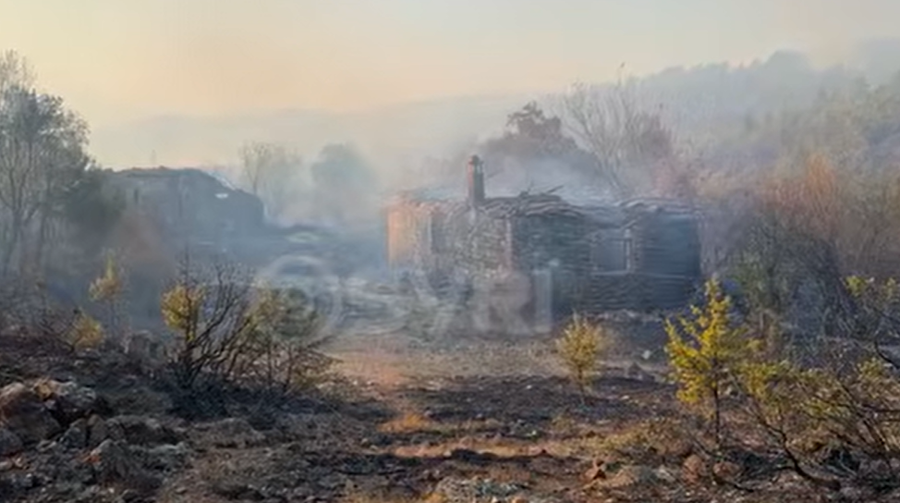 syri-tv-lezhe-bilanci-i-zjarreve-gjate-veres-2500-hektare-pyje-dhe-12-banesa-te-shkrumbuara