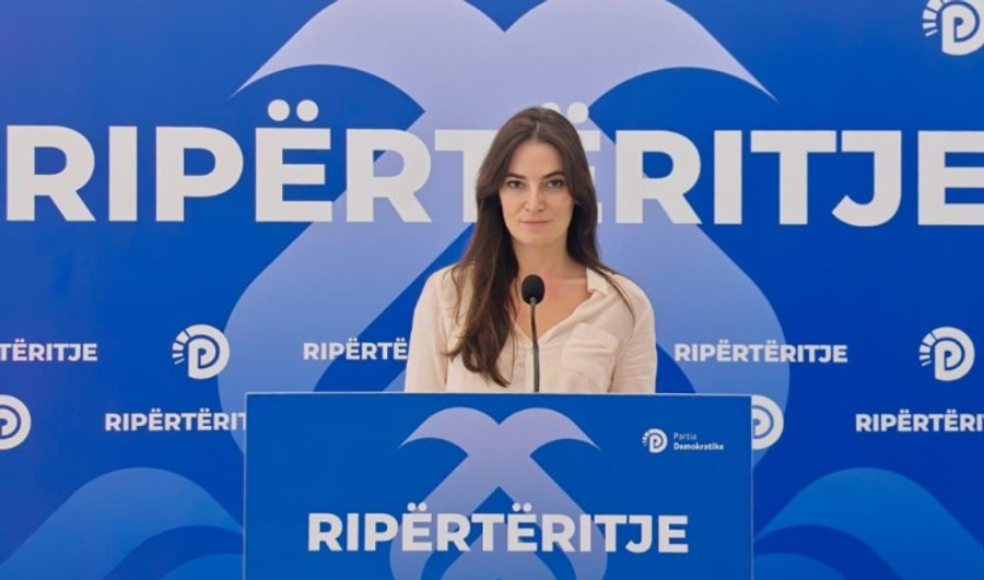 Emiri: Artisti  s'mund të konsiderohet si një punëtor i zakonshëm, kërkohet Statusi i Artistit. PD e ka gati programin për Artin dhe Kulturën