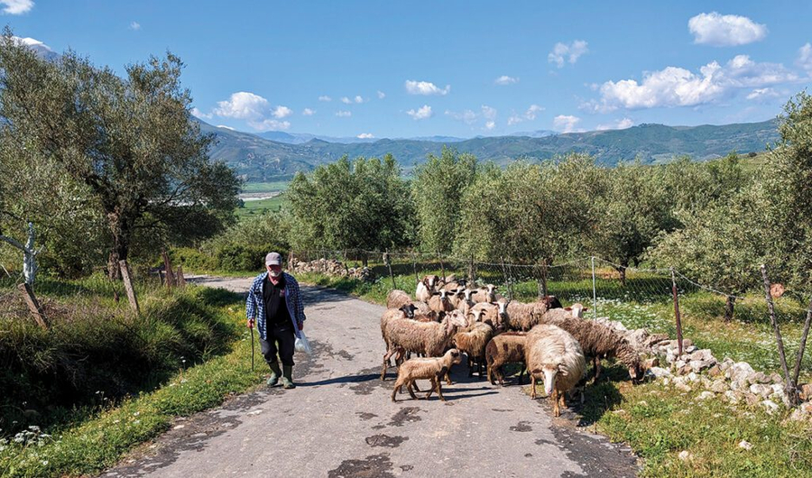 Blegtorët në vështirësi pa ndihmë nga shteti  i drejtohen qeverisë me 7 kërkesa   Nga akciza  nafta dhe rialokimi i fondeve