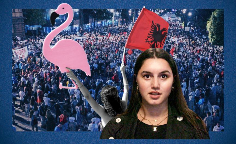  Do ndalojmë vetëm kur të ikë Rama   Media gjermane   Flamingot e Frankfurtit  protestojnë prej 4 muajsh